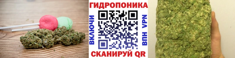где можно купить наркотик  Жуковский  гидра маркетплейс  Canna-Cookies конопля 