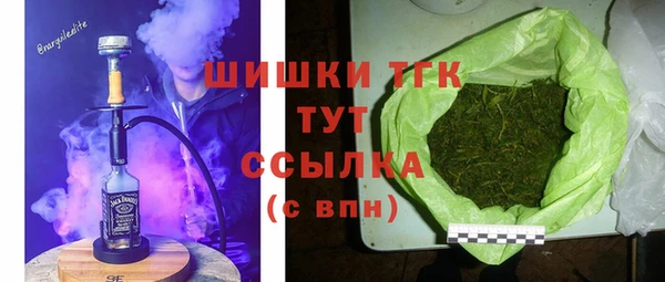 гидра Елабуга
