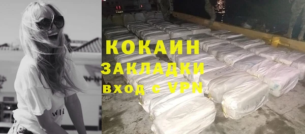 гидра Елабуга