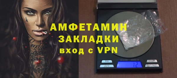 гидра Елабуга