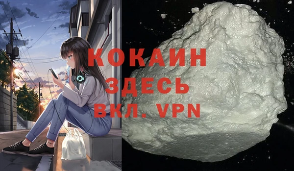 ALPHA PVP Ельня