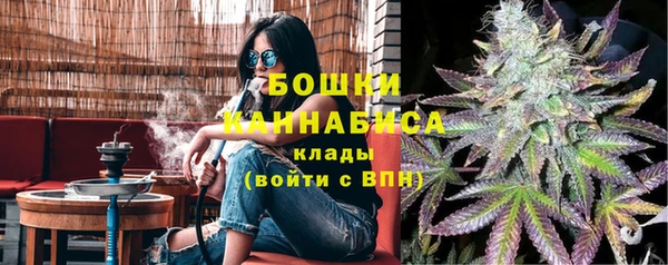 гидра Елабуга
