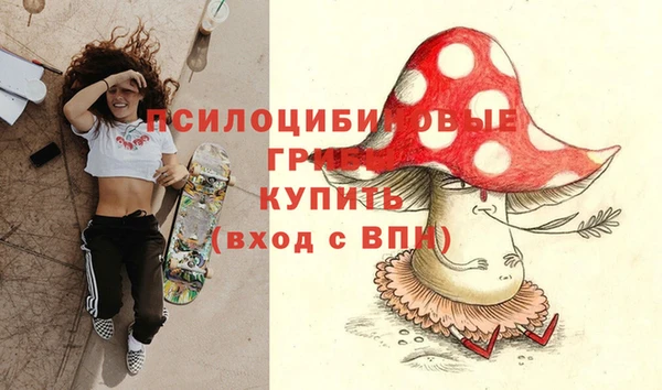 ALPHA PVP Ельня