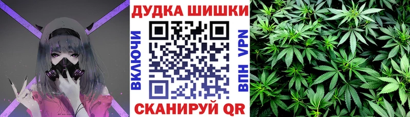 omg ссылка  дарк нет состав  Бошки марихуана сатива  Жуковский 